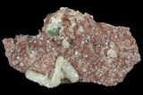 Stilbite and Apophyllite Crystal Cluster - India #97848-1